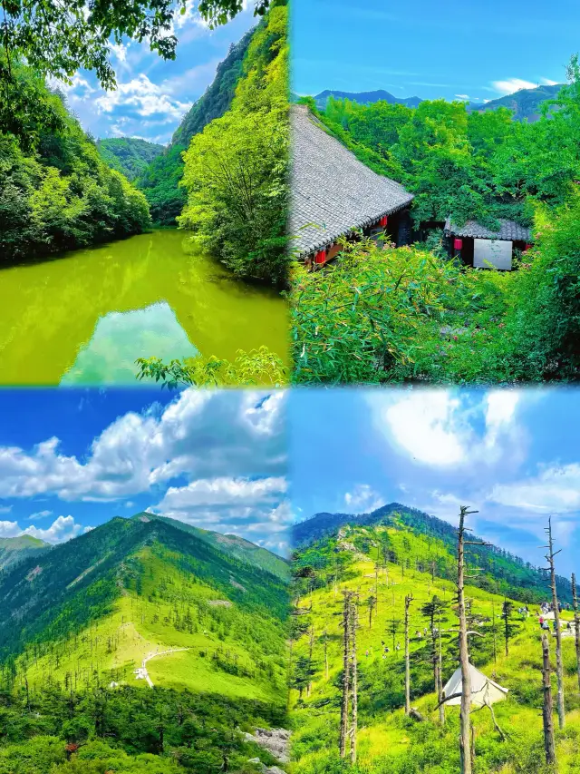 Xi'an's Backyard! Qinling's Hidden Secret Summer Escape Guide!