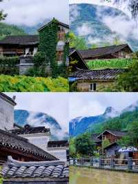 銅仁勇攀梵淨山奇峰，細味古村茶香慢