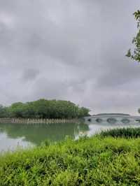 🌸 《夢回紅樓・上海大觀園》