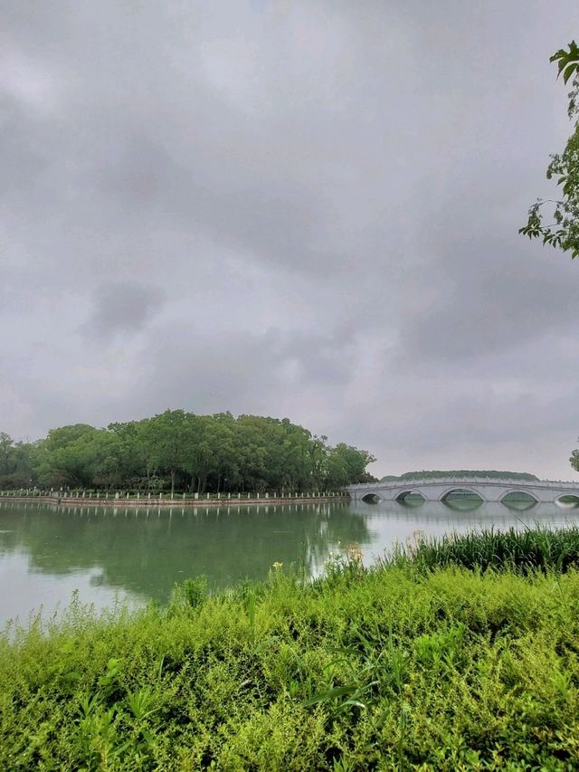 🌸 《夢回紅樓・上海大觀園》