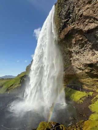 【Must-Read Guide】13 Live Photos Capture Iceland! Unfiltered Summer Magic in the South Coast