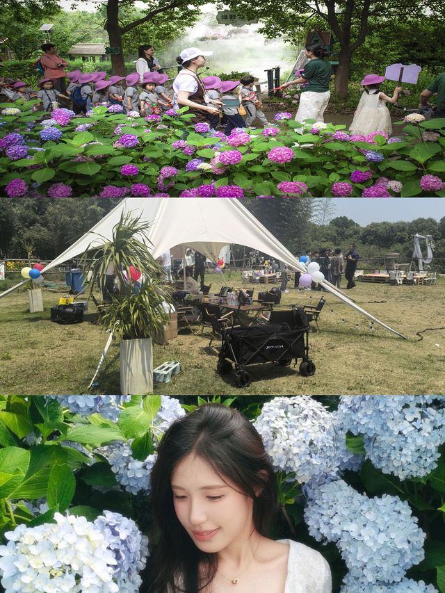 揚州慢活，夏天點可以冇呢片花海呢