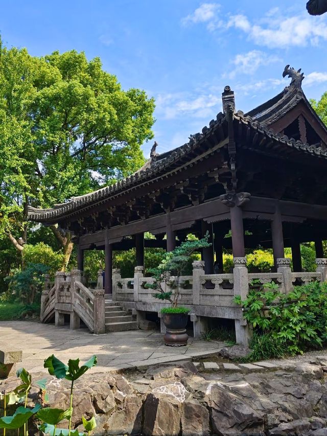 在水墨巷弄與黃酒香裡，尋回紹興舊夢