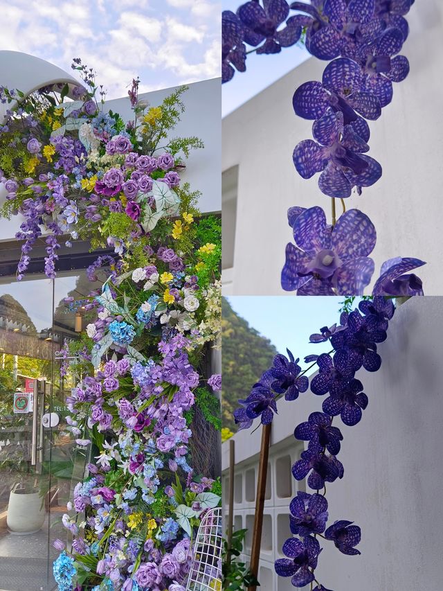 真心鍾意呢個花園，仲有呢度嘅藍天同白雲！