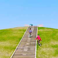 在漫畫般的海灣公園，閑逛，發呆，看日落