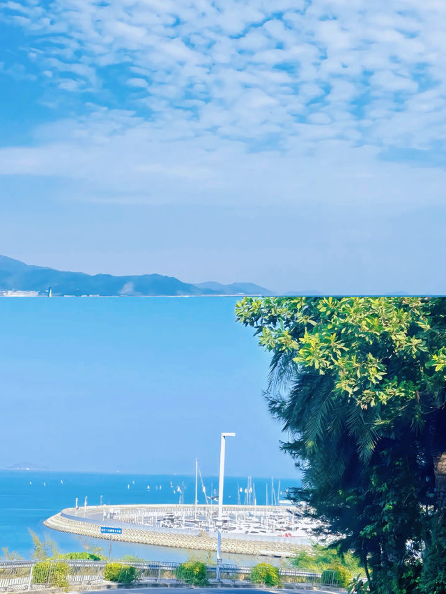 深圳總要去趟深圳吧！