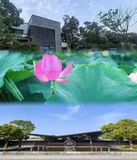 逃離都市｜蘇州太湖私藏度假村打卡實錄
