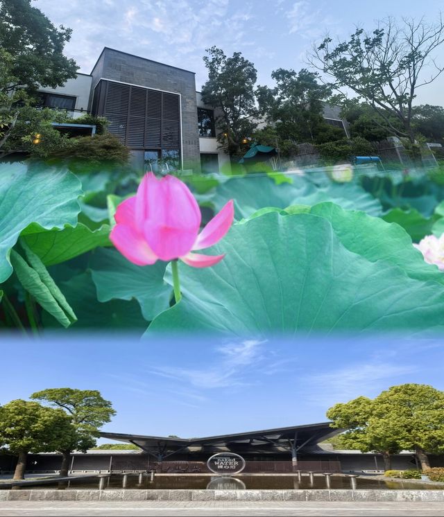逃離都市｜蘇州太湖私藏度假村打卡實錄
