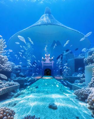 【A Dreamy Journey Through Time｜Complete Guide to Qiandao Lake Time Tunnel】