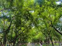 天壇公園的隱藏魅力