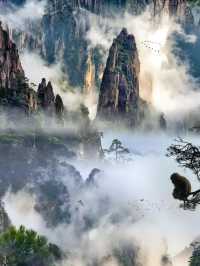 雲端之上的絕美國風 此生必去的山河畫卷