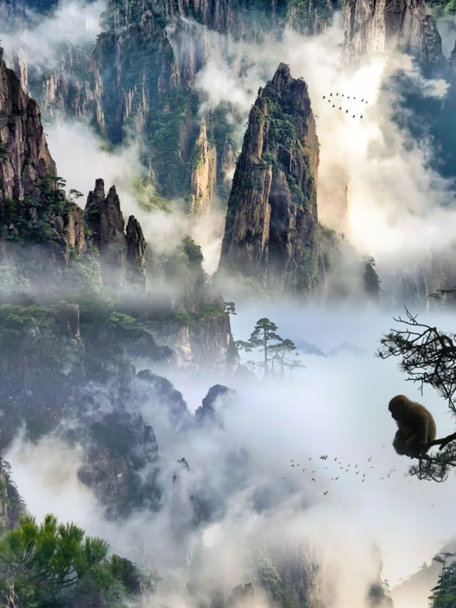 雲端之上的絕美國風 此生必去的山河畫卷