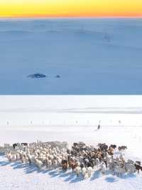 馬超出圈！跟著達人踏雪追風，打卡錫盟！