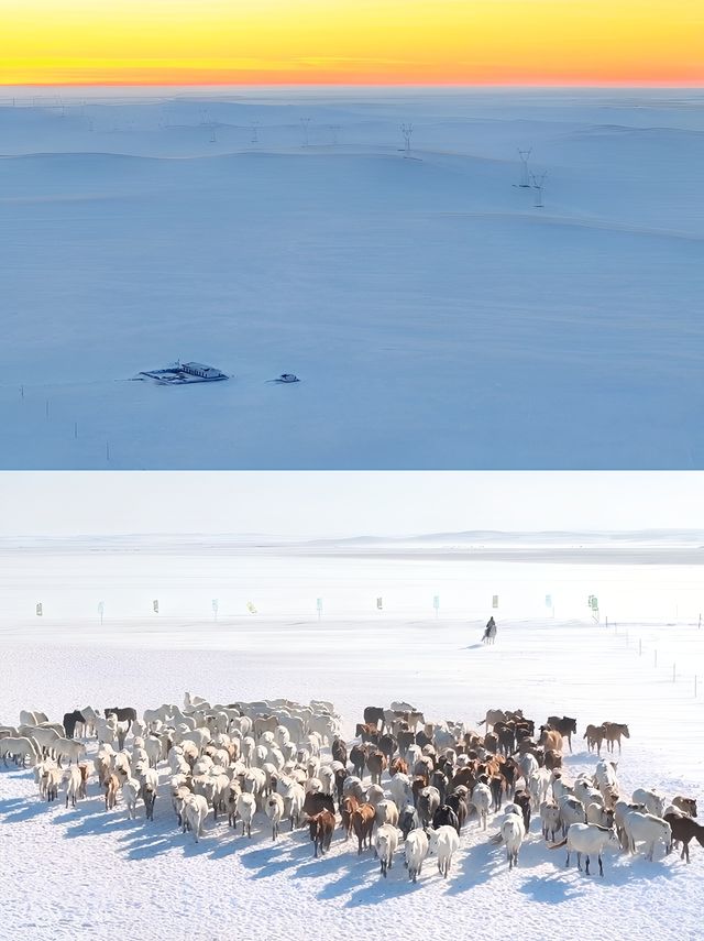 馬超出圈！跟著達人踏雪追風，打卡錫盟！