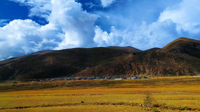 走出去，感受大自然嘅魅力國道331