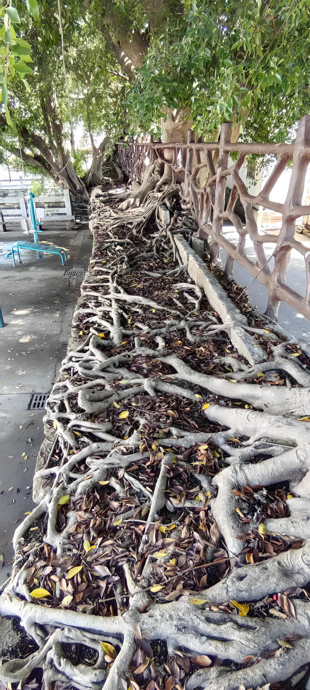 漳州釜山古城牆：穿越六百年的時光長廊