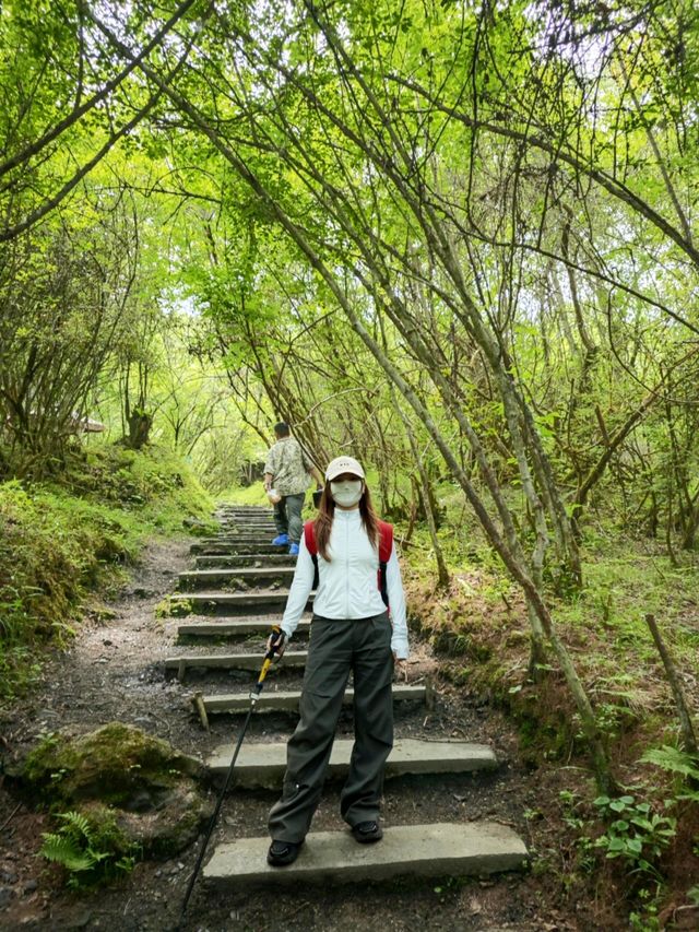 四川人嘅阿勒泰！4處空中牧場靚到想定居