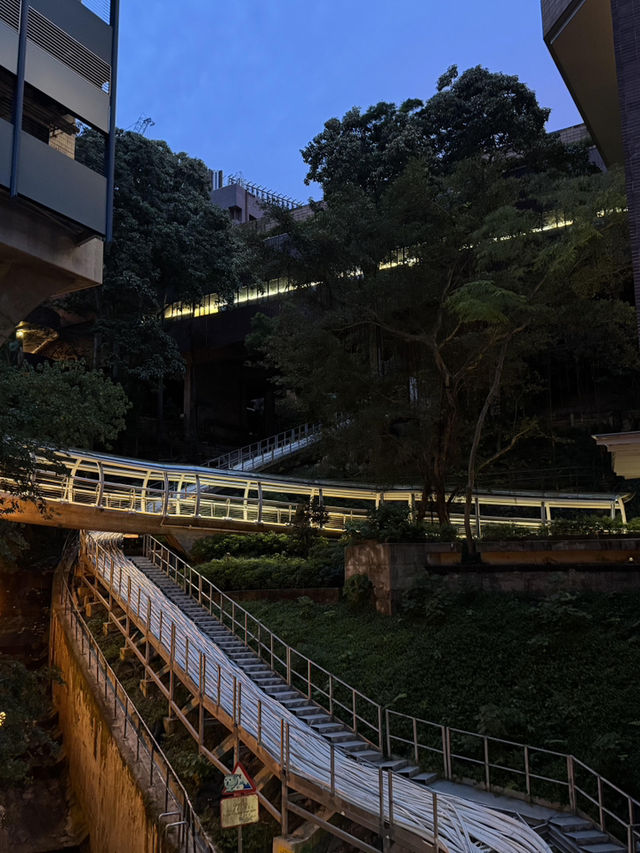 HK🇭🇰｜香港嘅夜，浪漫到心軟🌃