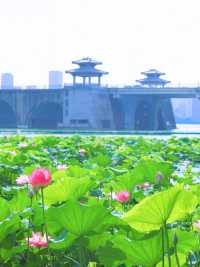 武漢人擠人？嚟漢陽冷門寶藏公園躺平！
