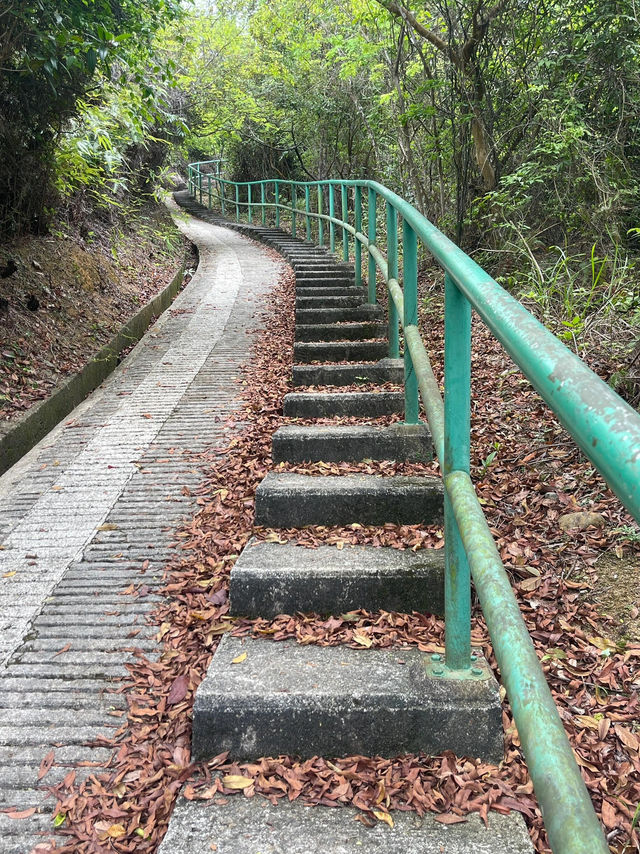 ⛰️香港行山新發現！東梅古道必衝攻略，尋覓大嶼山秘境！