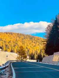 阿禾公路開通啦！風景美如畫，攻略在此