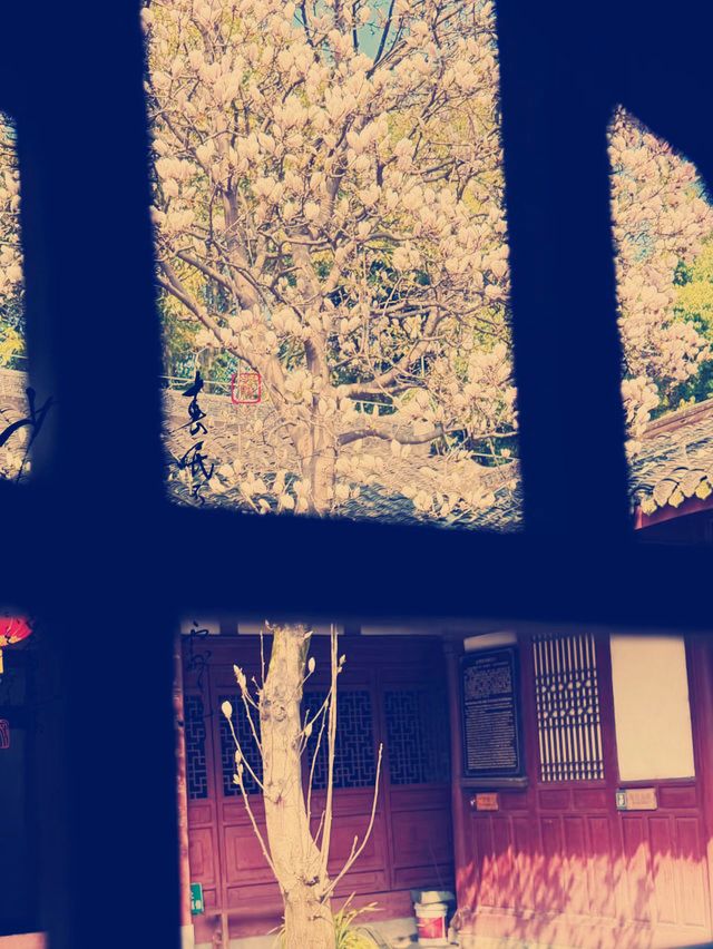四川金華寺の魅力ある旅