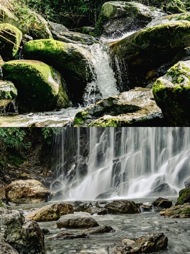 大理蒼山溯溪·野生水樂園