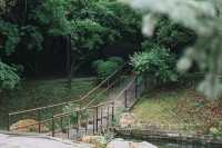 攝影｜瀋陽東陵郊野公園嘅夏天