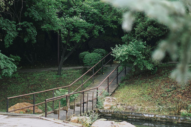 攝影｜瀋陽東陵郊野公園嘅夏天