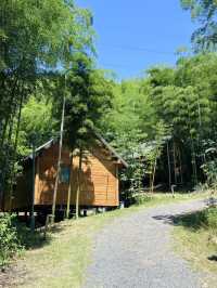 江浙滬山林放空的度假好去處