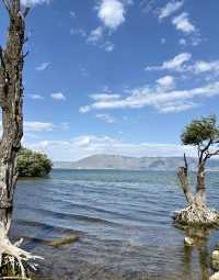 洱海漫遊指南：在140公里的湖光山色裡遇見大理的靈魂   深度玩法：分岸而治，解鎖洱海雙面風情  