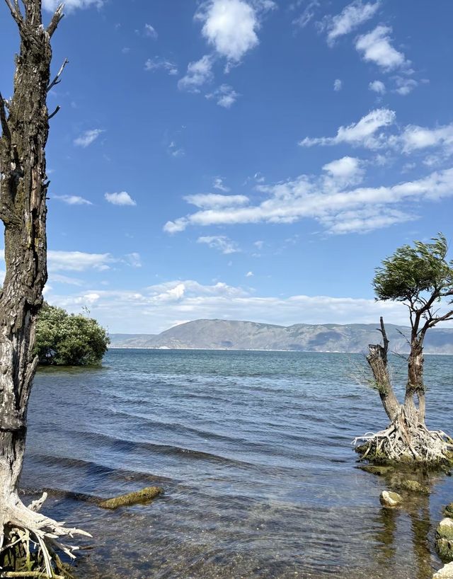 洱海漫遊指南：在140公里的湖光山色裡遇見大理的靈魂   深度玩法：分岸而治，解鎖洱海雙面風情  
