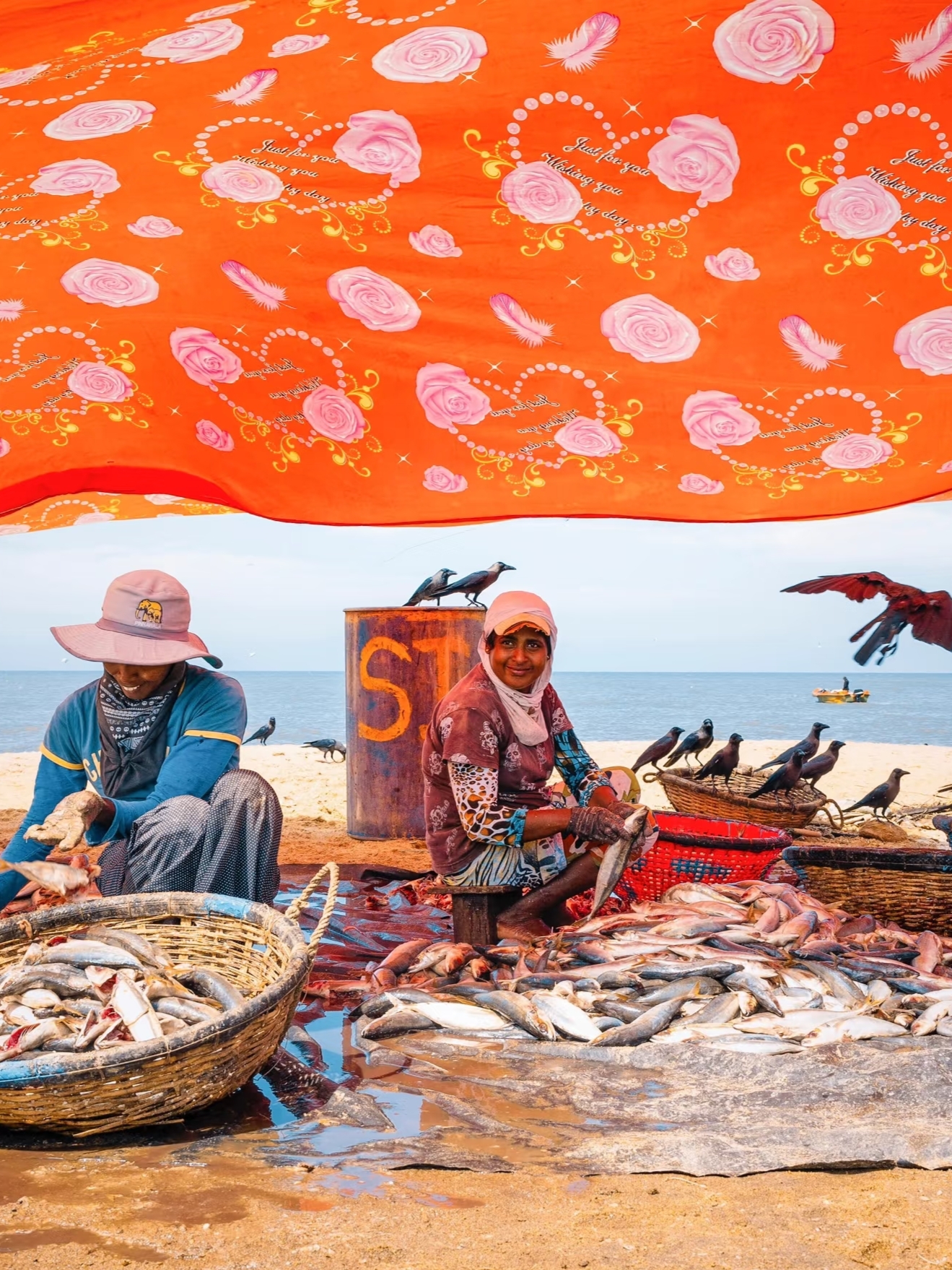 Negombo: Điểm dừng chân đầu tiên của Sri Lanka để ngắm pháo hoa!