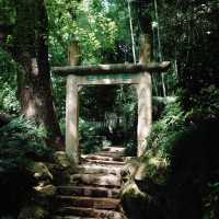 在孤山漫遊，西泠印社至最美轉角都留下蹤跡
