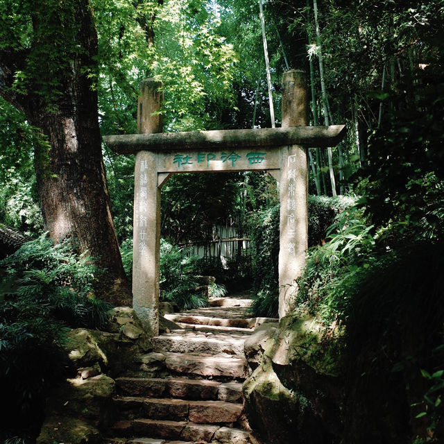在孤山漫遊，西泠印社至最美轉角都留下蹤跡