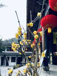 普陀小眾打卡地｜沈家門鬧市藏着的200年禪院
