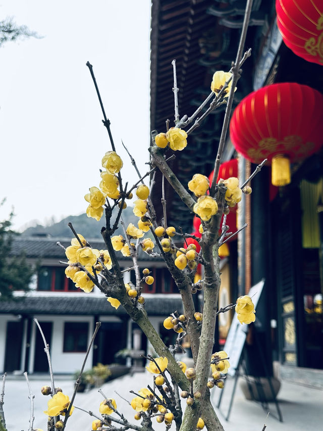 普陀小眾打卡地｜沈家門鬧市藏着的200年禪院