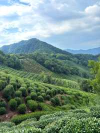 杭州九溪徒步｜喺小溪同茶園治癒系吸氧