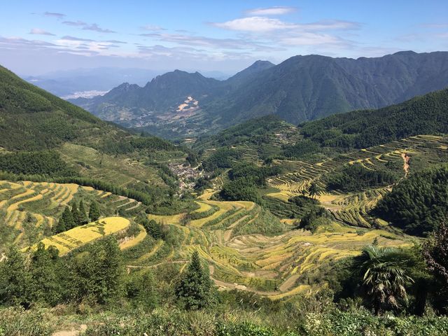 夏日自駕天花板！隱世小城麗水3日2夜避暑全攻略