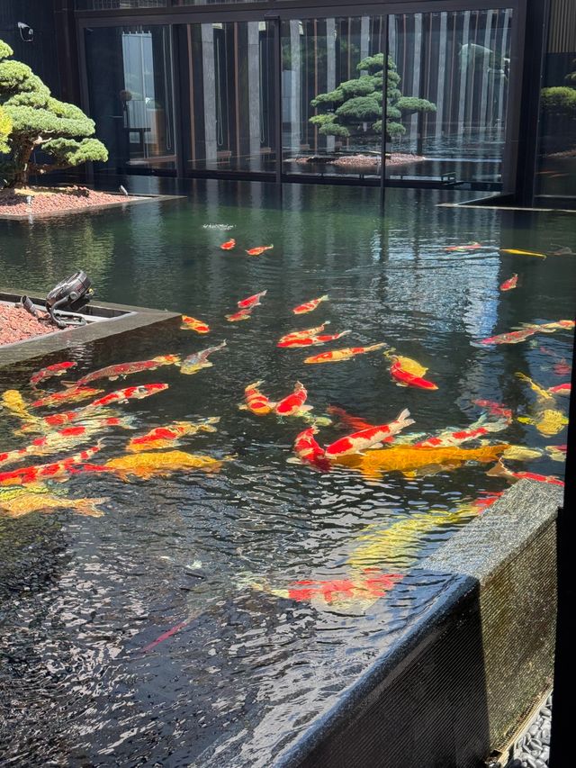 蘇州柏悅酒店 蘇州柏悅酒店