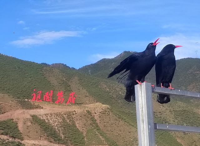 “傳奇康巴·幸福昌都”