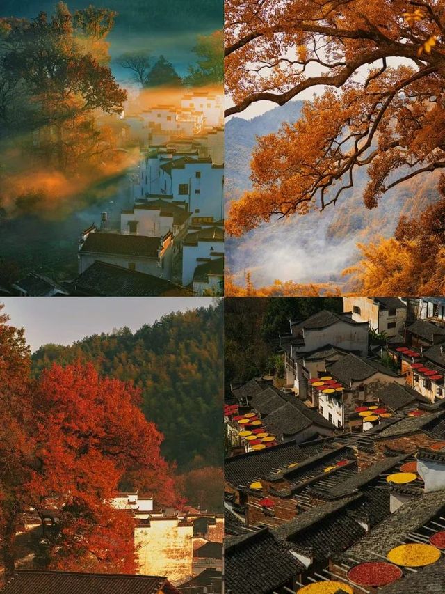 婺源石城—紅楓映黛瓦,晨霧繞古村 婺源石城—紅楓映黛瓦,晨霧繞古村