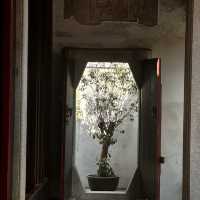 己略黃公祠|領略潮州木雕巔峰技藝