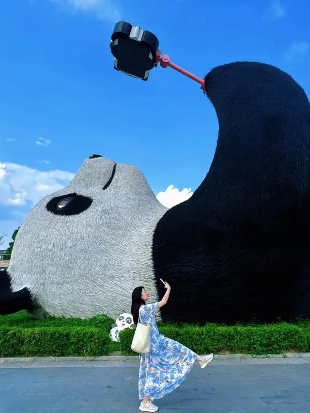 Highly Recommend Private Car for Dujiangyan & Panda Valley