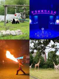 國慶節去哪玩｜來紫清湖野生動物世界與動物親密接觸吧！