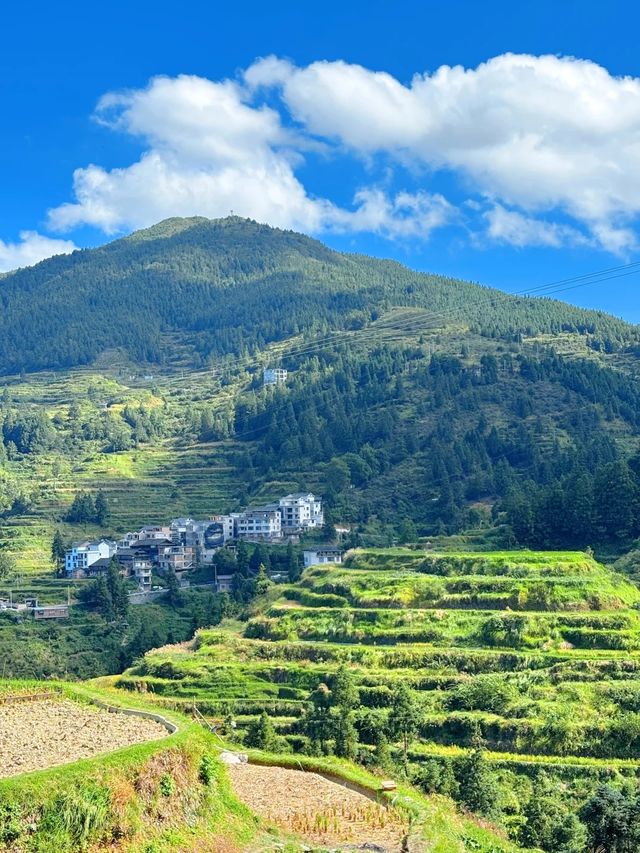 山中的避世秘境