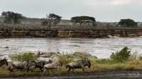 Unforgettable Tanzanian Journey