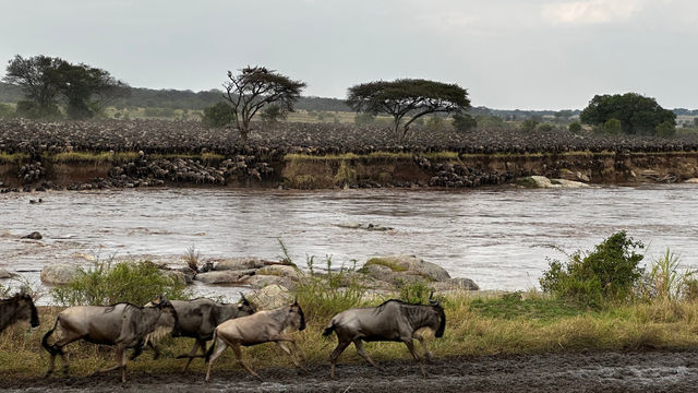 Unforgettable Tanzanian Journey
