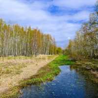 🌿 Lammassaari: Where Helsinki Meets the Swamplands
