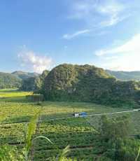 遠山晴空如畫境